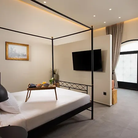 فيلة Fluvian Rhodes City